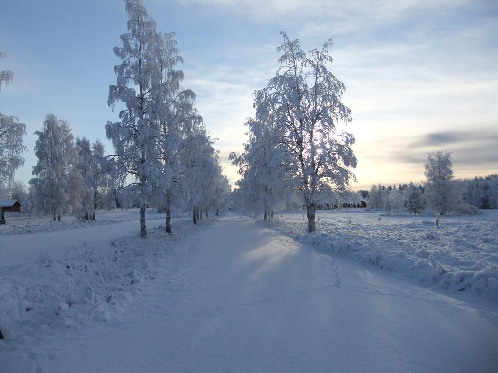 Knappgarden Särna Exterior foto